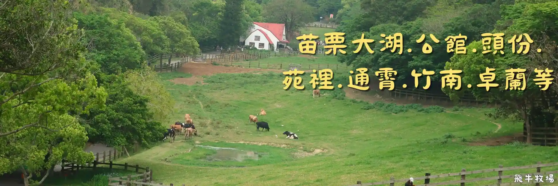 大湖、公館、頭份等banner